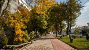 В Узбекистане в начале недели похолодает и пойдёт дождь