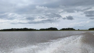 O‘zbekistonda suvni tejash uchun 3,3 trln so‘m ajratiladi