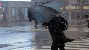 14 февраля в Узбекистане будет тепло