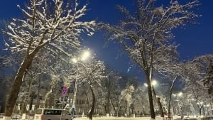 Tog‘li hududlarda qor ko‘chishi xavfi e’lon qilindi