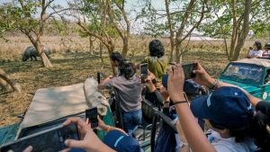 India Bans Smartphone Use in Tiger Reserves