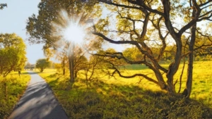 Kelayotgan haftada O‘zbekistonda ob-havo salqinlashadi