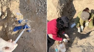 В Ташкенте найдены настенные росписи X–XI веков