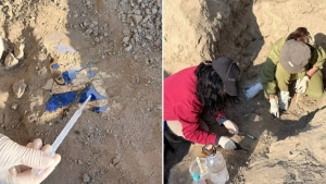 Wall paintings from the 10th–11th centuries were found in Tashkent