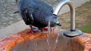 It will be 45 degrees hot in Uzbekistan throughout the week