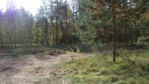 Вблизи Санкт-Петербурга узбекский парень был ранен ножом