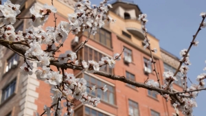 Прогноз погоды на 13 марта от Узгидромета опубликован