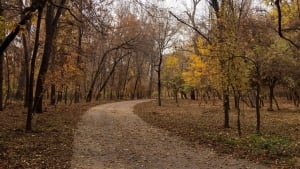 November 30: The weather in Uzbekistan will be dry and warm