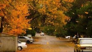 Hafta davomida ob-havo iliq va yog‘ingarchiliksiz bo‘ladi