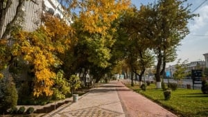 В Узбекистане в начале недели похолодает и пойдёт дождь
