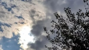 O‘zbekistonda shamol va chang-to‘zon kuchayadi