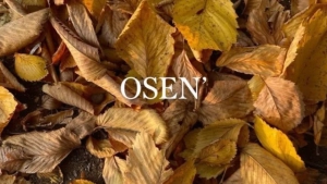 10-13 noyabr: O‘zbekistonda quruq va iliq ob-havo.