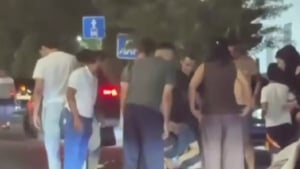Toshkentda piyodaga BMW urib, tergov boshlandi