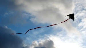 В ближайшие дни в нашей стране будет жаркая и солнечная погода