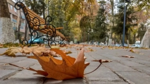 В выходные в некоторых районах пойдет дождь