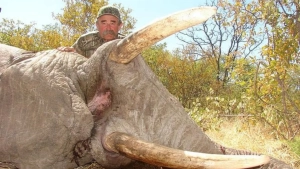 Wild Elephants Trample Wealthy American Hunter to Death in Gabon