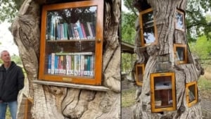Ruurlo qishlog‘ida daraxtdan kutubxona yaratildi