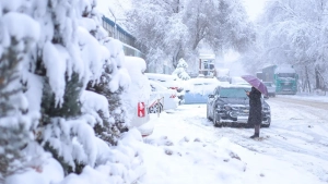 Yakshanba kuni O‘zbekistonda yomg‘ir va qor yog‘adi.