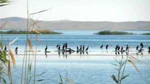 The lesser-known unique beauties of Uzbekistan: Are you ready to discover?