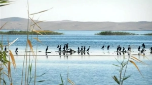 O‘zbekistonning kam tanilgan betakror go‘zalliklari: Kashf etishga tayyormisiz?