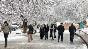 Cold is expected to intensify in Uzbekistan in January