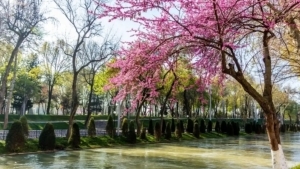 Weather in Uzbekistan on March 27: temperature and wind will change