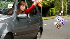 Starting from 2025, the amount of environmental fines will be increased