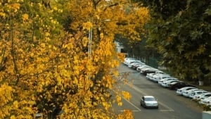 On October 20, the weather in Uzbekistan will be cool and dry
