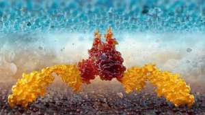 Xitoylik olimlar saraton uchun virusli terapiya yaratdi