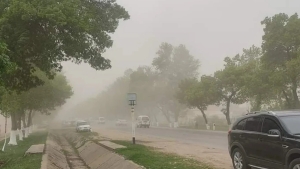 В некоторых регионах Узбекистана ожидаются сильный ветер и пыль