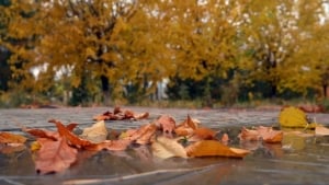 7-noyabr: O‘zbekistonda yog‘ingarchiliksiz iliq ob-havo kutilmoqda