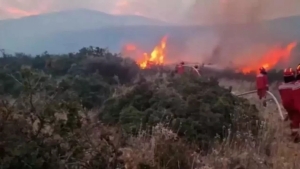 Bolqon davlatlarida yong‘inlar halokatli davom etmoqda