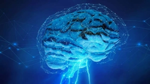 It became possible to control a robotic hand through thought