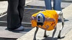 In Monterrey, a robot dog is promoting love for animals
