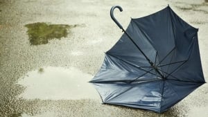 Roadside Umbrella (Story)