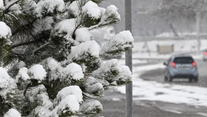 Tomorrow the weather in Uzbekistan will be variable