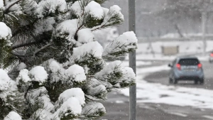 Tomorrow the weather in Uzbekistan will be variable