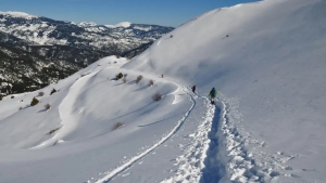 Gretsiya tog‘larida yo‘qolgan to‘rt sayyoh halok bo‘ldi