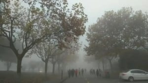 Ташкент занял второе место в мире по загрязнению воздуха