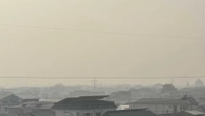 3 dekabr: tuman, quruq ob-havo va iliq kunlar