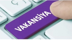 Diplomsiz yoshlar orasida ishsizlik darajasi rekord darajada kamaydi