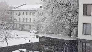 28 января: В Узбекистане ожидаются снег, туман и холод