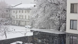 January 28: Snow, fog, and cold expected in Uzbekistan