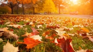 Tomorrow, warm and sunny weather will continue in Uzbekistan