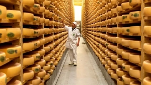 Fransiyada pishloq turizmi yangi bosqichga ko‘tarilmoqda