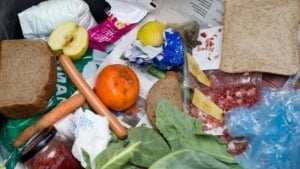 Пищевые отходы наносят серьезный ущерб экологии