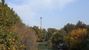 27 октября в Узбекистане теплая и ветреная погода