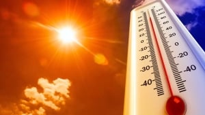 Hot and sultry weather is expected in Uzbekistan