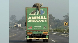 Special ambulances for elephants have been launched in India.