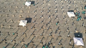 Every year, 200 million trees are planted in Uzbekistan